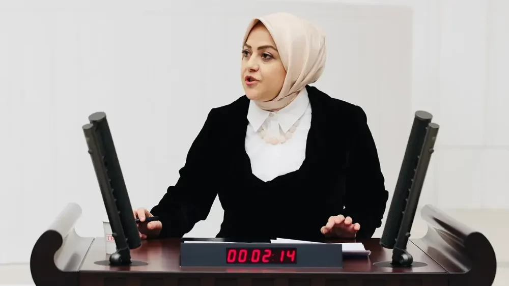 İklim yasası karşıtlarının ortak sesi oldu Türkiye’nin gündemine oturdu